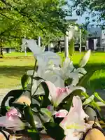 守りの神 藤基神社(新潟県)