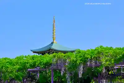 三学院(埼玉県)