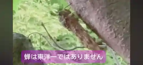 南禅寺(京都府)