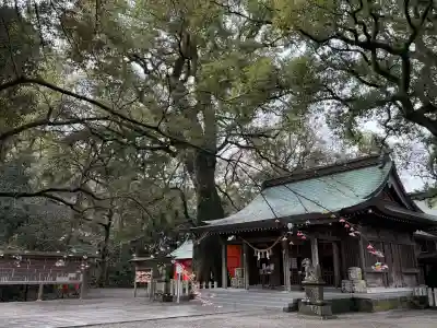 春日神社の{uncategorized: "未分類", other: "その他", undefined: "問題あり", building: "その他建物", grave: "お墓", sacred_gate: "鳥居", guardian: "狛犬", statue: "像", buddha: "仏像", history: "歴史", nature: "自然", garden: "庭園", animal: "動物", pagoda: "塔", temizu: "手水舎", mountain_gate: "山門・神門", sanctuary: "本殿・本堂", subordinate: "末社・摂社", art: "芸術", scenery: "景色", jizo: "地蔵", ema: "絵馬", goshuin: "御朱印", omikuji: "おみくじ", items: "授与品その他", amulet: "お守り", goshuincho: "御朱印帳", eats: "食事", festival: "お祭り", votive_dance: "神楽", shichigosan: "七五三参", wedding: "結婚式", experience: "体験その他", initially: "初詣", around: "周辺", anti_infection: "感染症対策"}