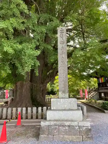 鑁阿寺の建物その他