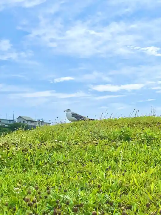 蕪嶋神社(青森県)