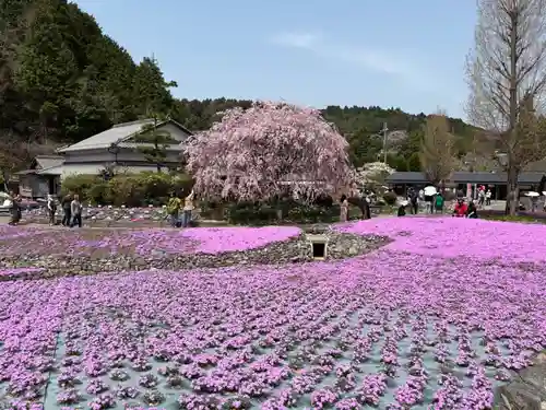 永澤寺(兵庫県)