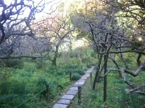 瑞泉寺の庭園