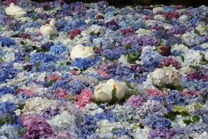 楽法寺(雨引観音)の動物