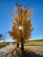 船玉神社(茨城県)
