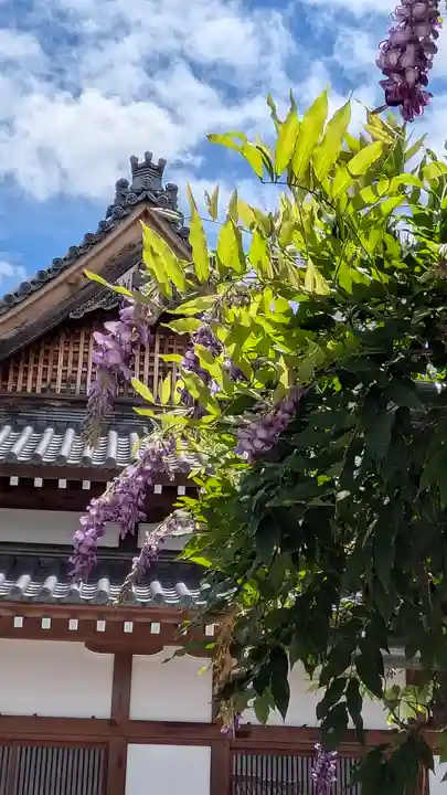 大松禅寺(京都府)