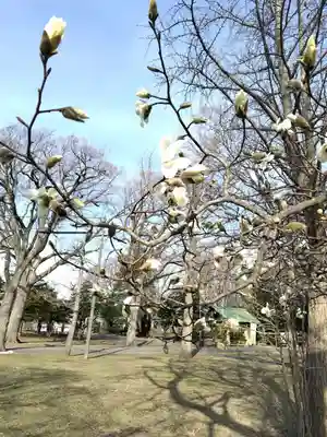 厚別神社(北海道)
