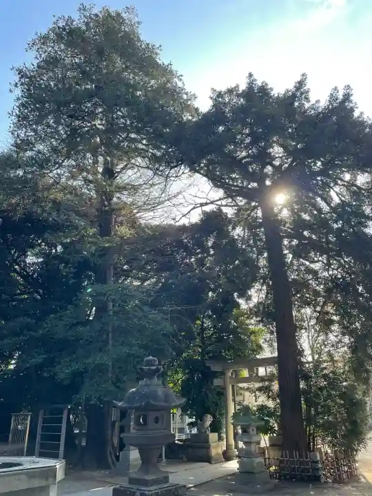 白髭神社の{uncategorized: "未分類", other: "その他", undefined: "問題あり", building: "その他建物", grave: "お墓", sacred_gate: "鳥居", guardian: "狛犬", statue: "像", buddha: "仏像", history: "歴史", nature: "自然", garden: "庭園", animal: "動物", pagoda: "塔", temizu: "手水舎", mountain_gate: "山門・神門", sanctuary: "本殿・本堂", subordinate: "末社・摂社", art: "芸術", scenery: "景色", jizo: "地蔵", ema: "絵馬", goshuin: "御朱印", omikuji: "おみくじ", items: "授与品その他", amulet: "お守り", goshuincho: "御朱印帳", eats: "食事", festival: "お祭り", votive_dance: "神楽", shichigosan: "七五三参", wedding: "結婚式", experience: "体験その他", initially: "初詣", around: "周辺", anti_infection: "感染症対策"}
