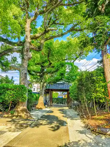 弁栄庵 法城寺の自然