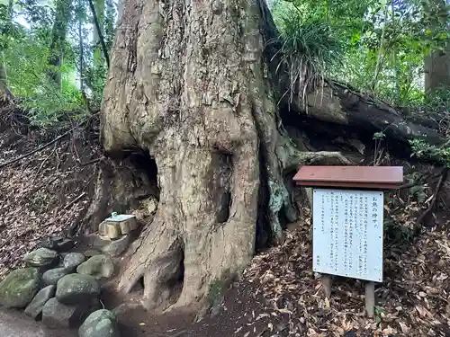霧島岑神社(宮崎県)
