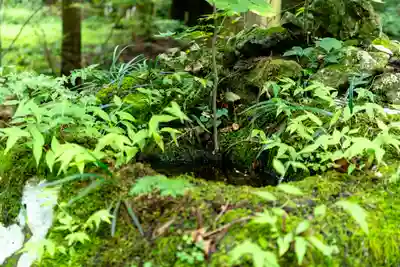 塩野神社(長野県)