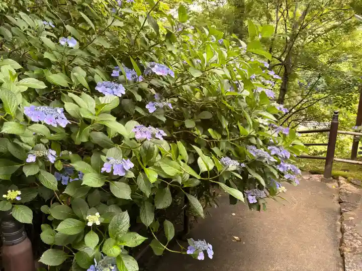 長谷寺(奈良県)