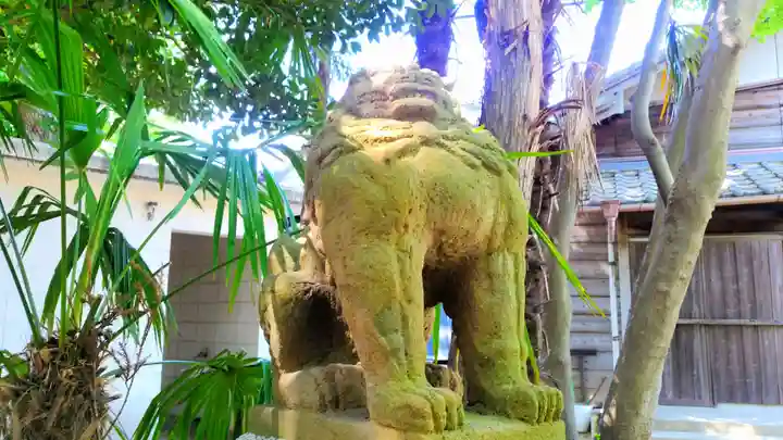 神明社(荒井神明社)の狛犬