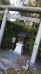 出雲大社京都分院の鳥居