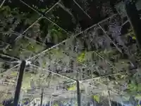 竹鼻別院(岐阜県)