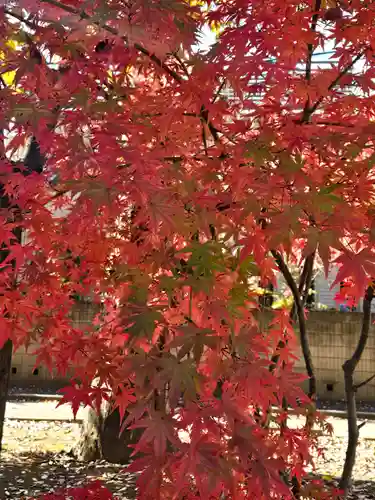 武蔵一宮氷川神社(埼玉県)