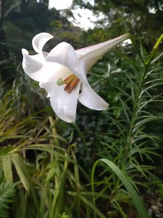 荒倉神社の自然