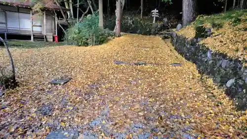 出雲大神宮の建物その他