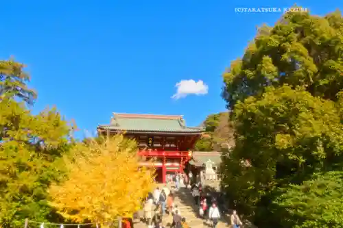 鶴岡八幡宮の本殿・本堂