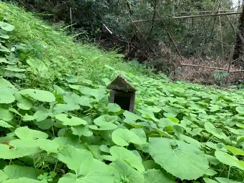 八幡神社の自然