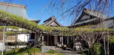 竺園寺のその他建物