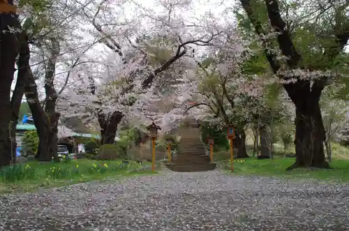 新倉富士浅間神社の自然