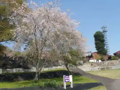 向陽寺(愛知県)