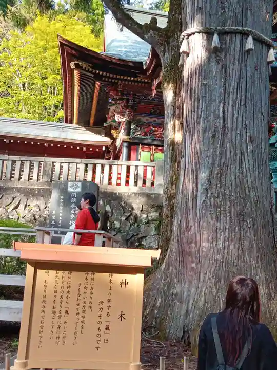 三峯神社(埼玉県)