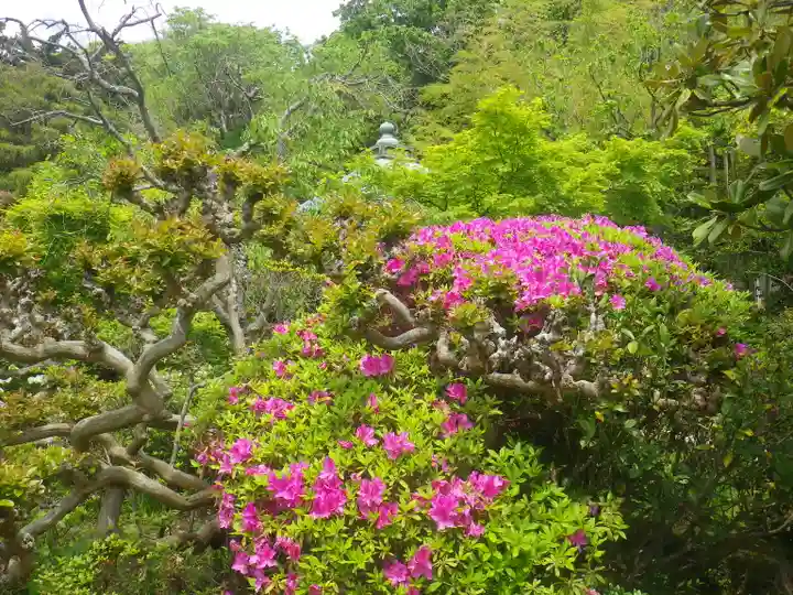 浄光明寺の庭園