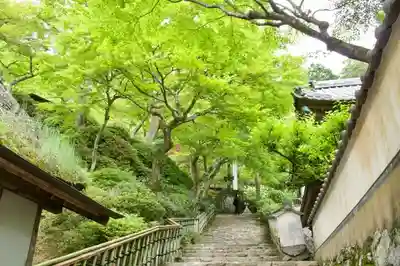 大興善寺のその他建物