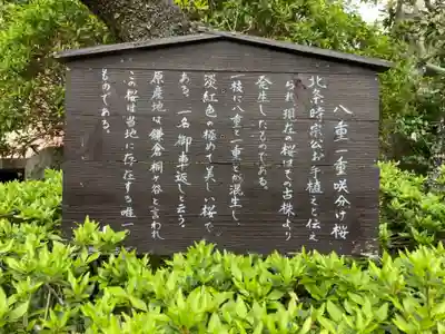 極楽寺（霊鷲山感應院極楽律寺）のその他建物