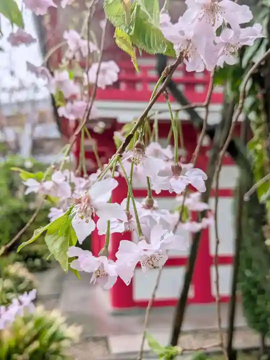 成子天神社(東京都)