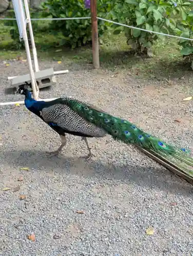 楽法寺（雨引観音）(茨城県)