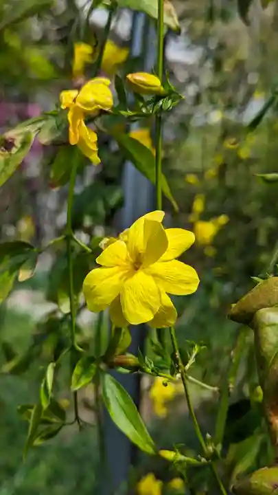 惠心院(京都府)