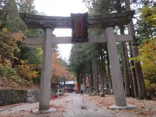 日枝神社の鳥居