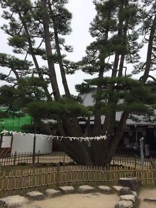 大願寺(広島県)