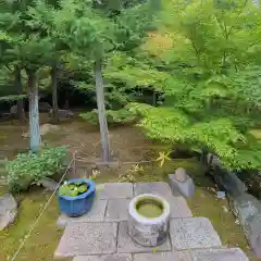 勝林寺(京都府)