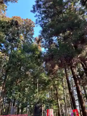 大宮温泉神社(栃木県)