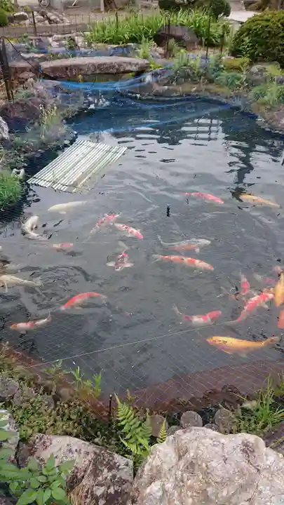 浄明寺(岐阜県)