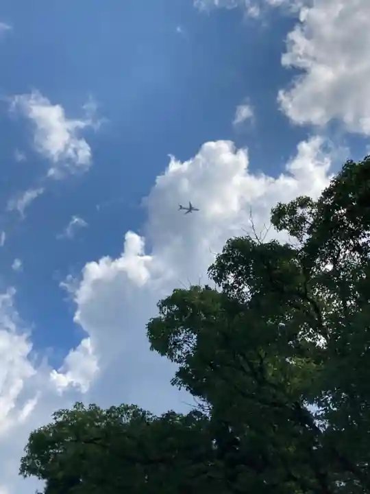 休ヶ岡八幡宮(薬師寺境内社)の景色