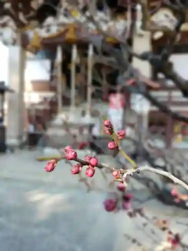 諏訪神社の自然