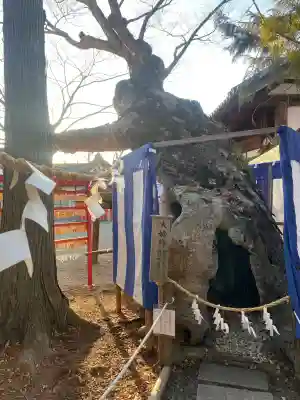 生島足島神社の{uncategorized: "未分類", other: "その他", undefined: "問題あり", building: "その他建物", grave: "お墓", sacred_gate: "鳥居", guardian: "狛犬", statue: "像", buddha: "仏像", history: "歴史", nature: "自然", garden: "庭園", animal: "動物", pagoda: "塔", temizu: "手水舎", mountain_gate: "山門・神門", sanctuary: "本殿・本堂", subordinate: "末社・摂社", art: "芸術", scenery: "景色", jizo: "地蔵", ema: "絵馬", goshuin: "御朱印", omikuji: "おみくじ", items: "授与品その他", amulet: "お守り", goshuincho: "御朱印帳", eats: "食事", festival: "お祭り", votive_dance: "神楽", shichigosan: "七五三参", wedding: "結婚式", experience: "体験その他", initially: "初詣", around: "周辺", anti_infection: "感染症対策"}