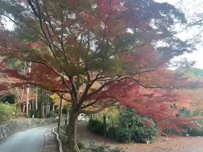 毘沙門堂門跡(京都府)