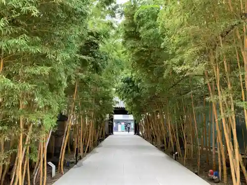 梅窓院の山門・神門