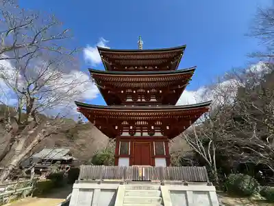 岡寺(龍蓋寺)(奈良県)