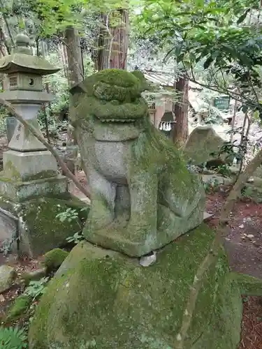 五所駒瀧神社の狛犬