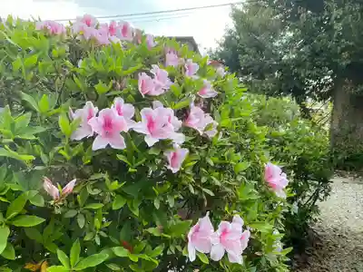 美奈宜神社(福岡県)