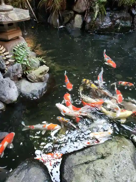 大蓮寺(神奈川県)