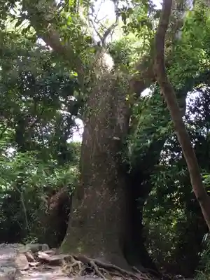 葭原神社(皇大神宮末社)の自然